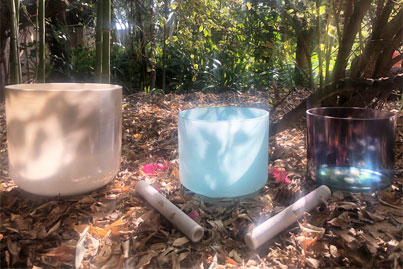 Wendy plays her Crystal Alchemy Singing Bowls in the bush to lead a powerful meditation.